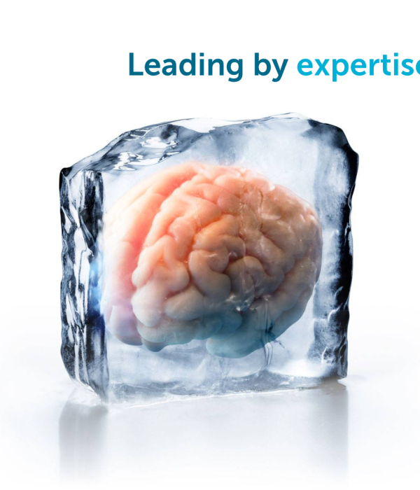 Brains on ice-leading by expertise