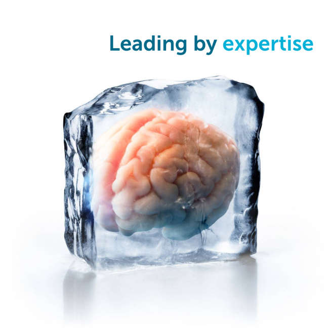 Brains on ice-leading by expertise